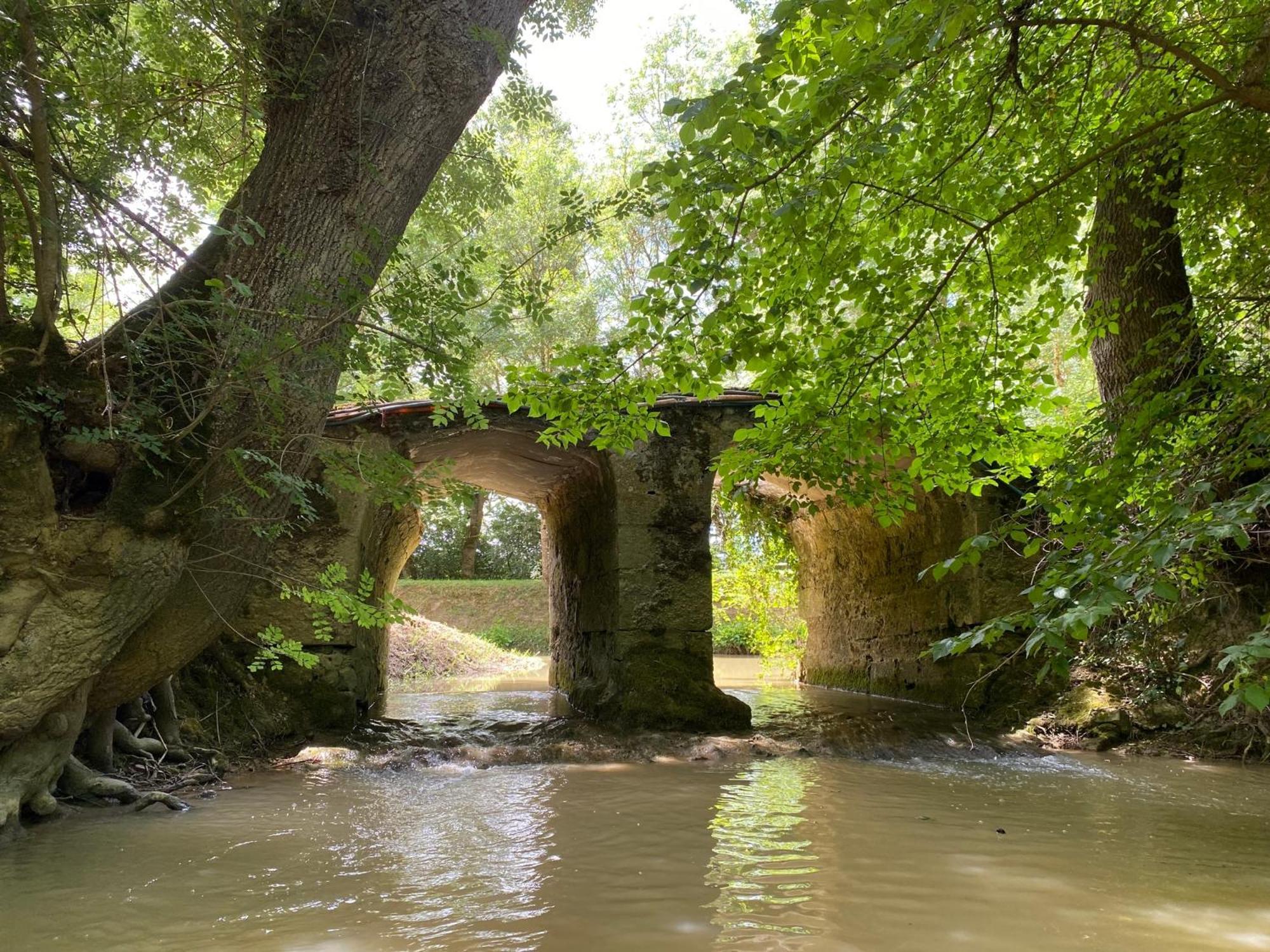 Gite Le Moulin Samsara Homps  ภายนอก รูปภาพ